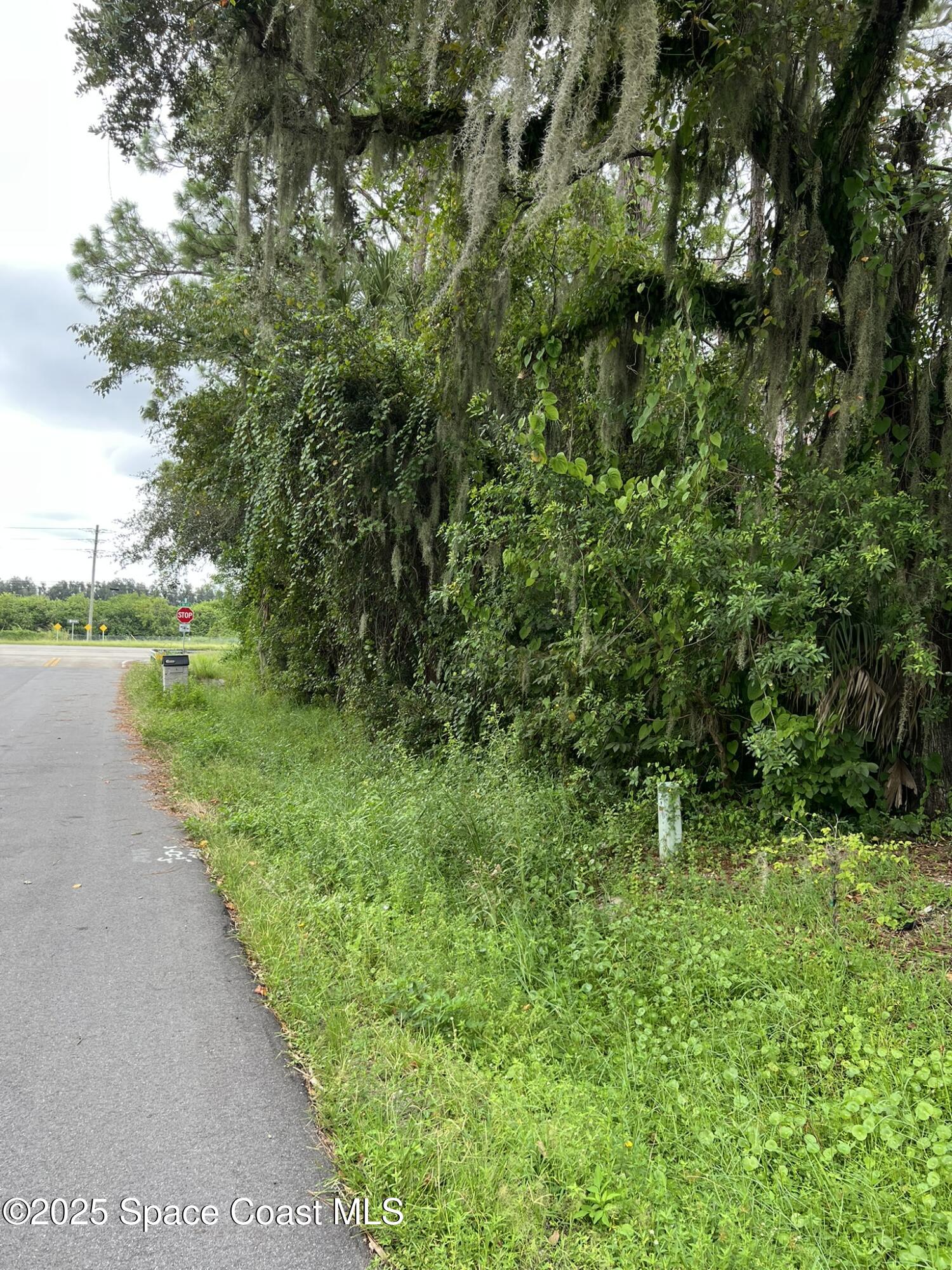 1 Lee Street Cocoa, FL 32926 - Photo 2 of 5 a view of a green yard