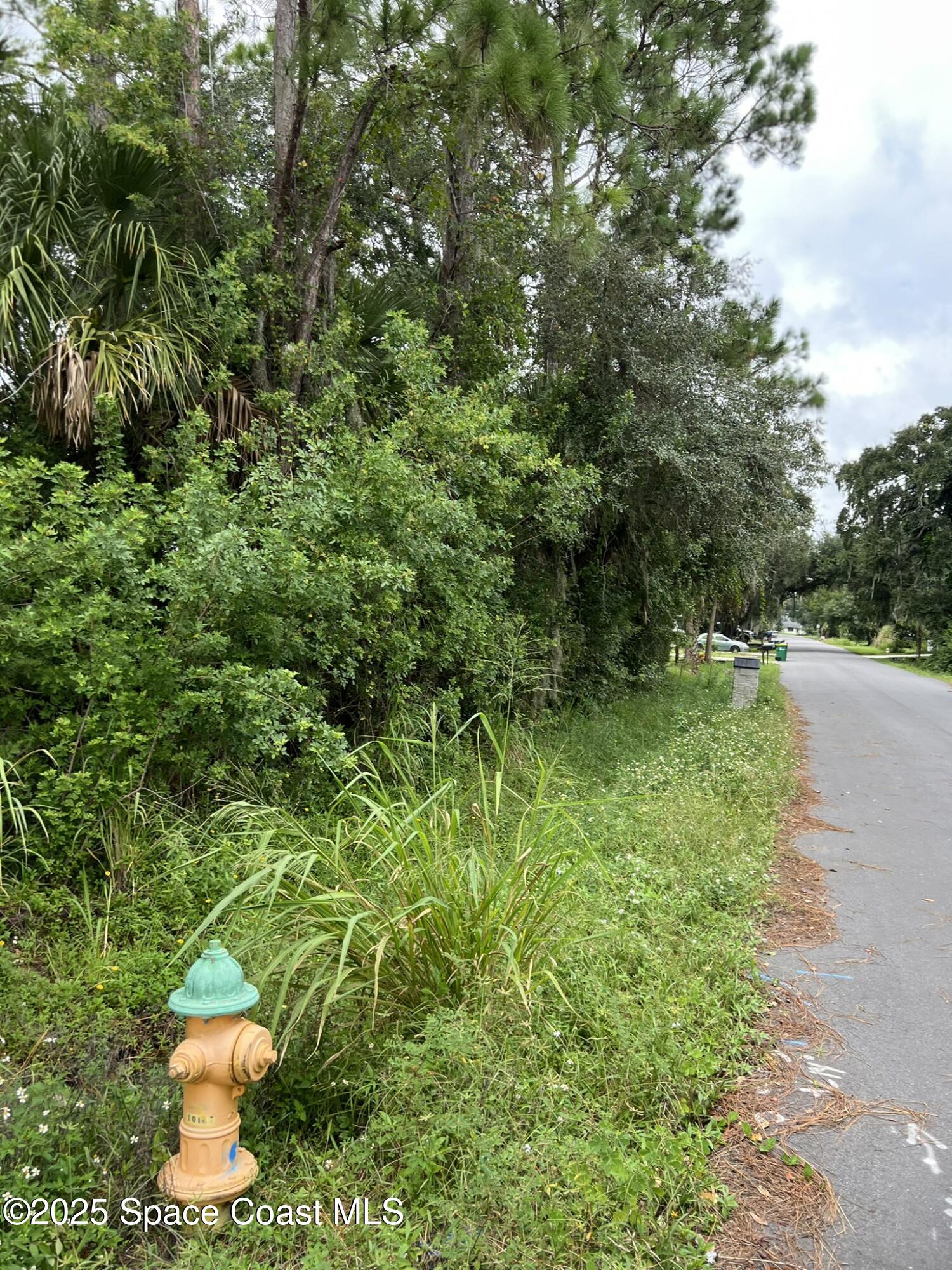 1 Lee Street Cocoa, FL 32926 - Photo 4 of 5 a backyard of a house with lots of green space