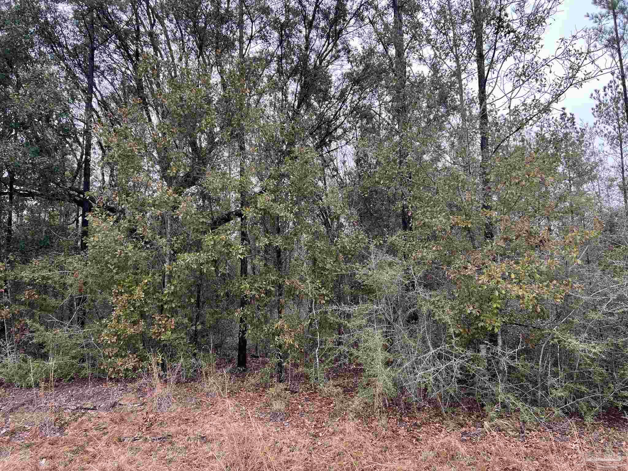 Lot 11 Pond Creek Road Milton, FL 32570 - Photo 1 of 4 Gallery Image 1