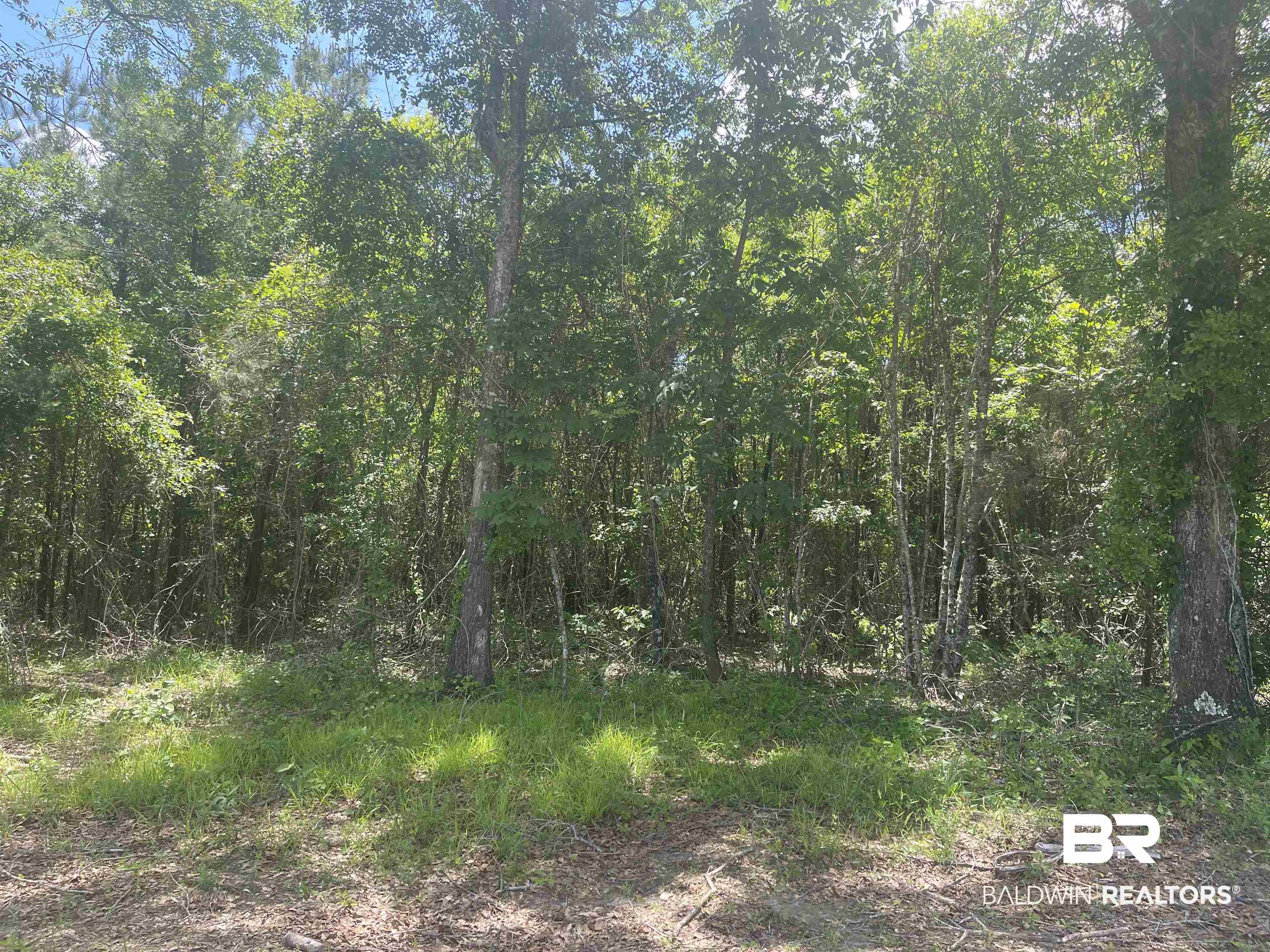 O Halls Crossroads Road Monroeville, AL 36460 - Photo 2 of 10
