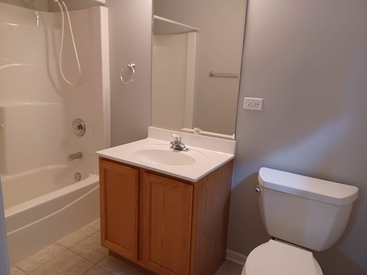 24463 Tufton Street Plainfield, IL 60585 - Photo 21 of 29 a bathroom with a sink a toilet and shower