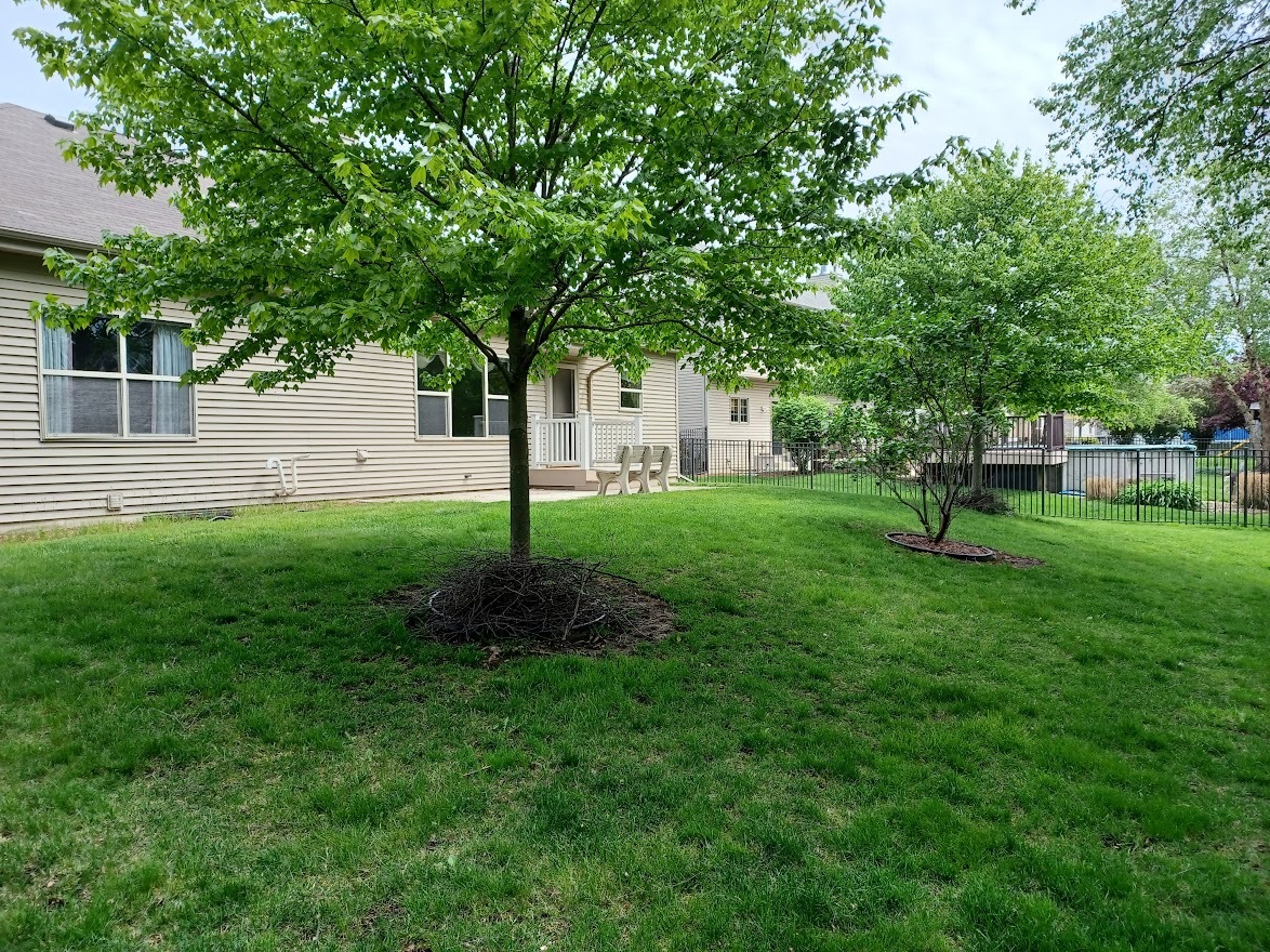 24463 Tufton Street Plainfield, IL 60585 - Photo 27 of 29 a front view of a house with a yard and tree