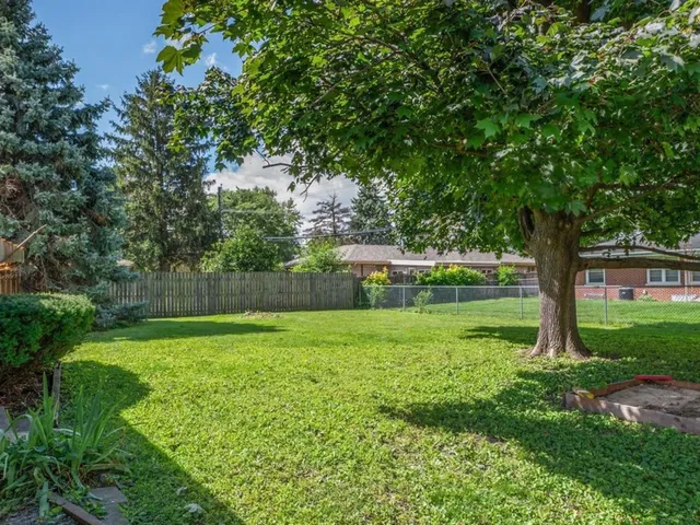 a view of a garden with a tree