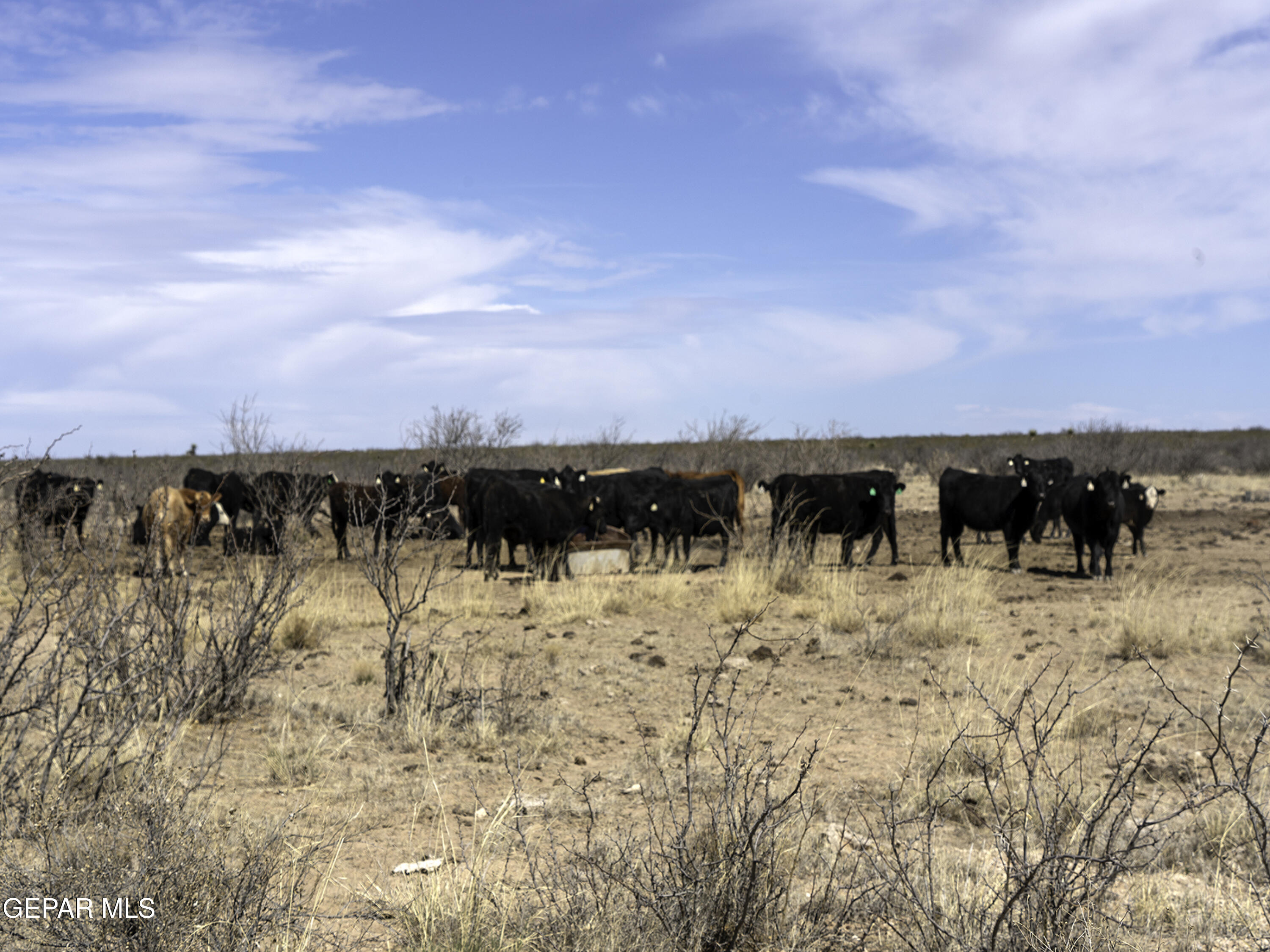 70596 Victoria Road Sierra Blanca, TX 79851 - Photo 5 of 6 a view of ocean view