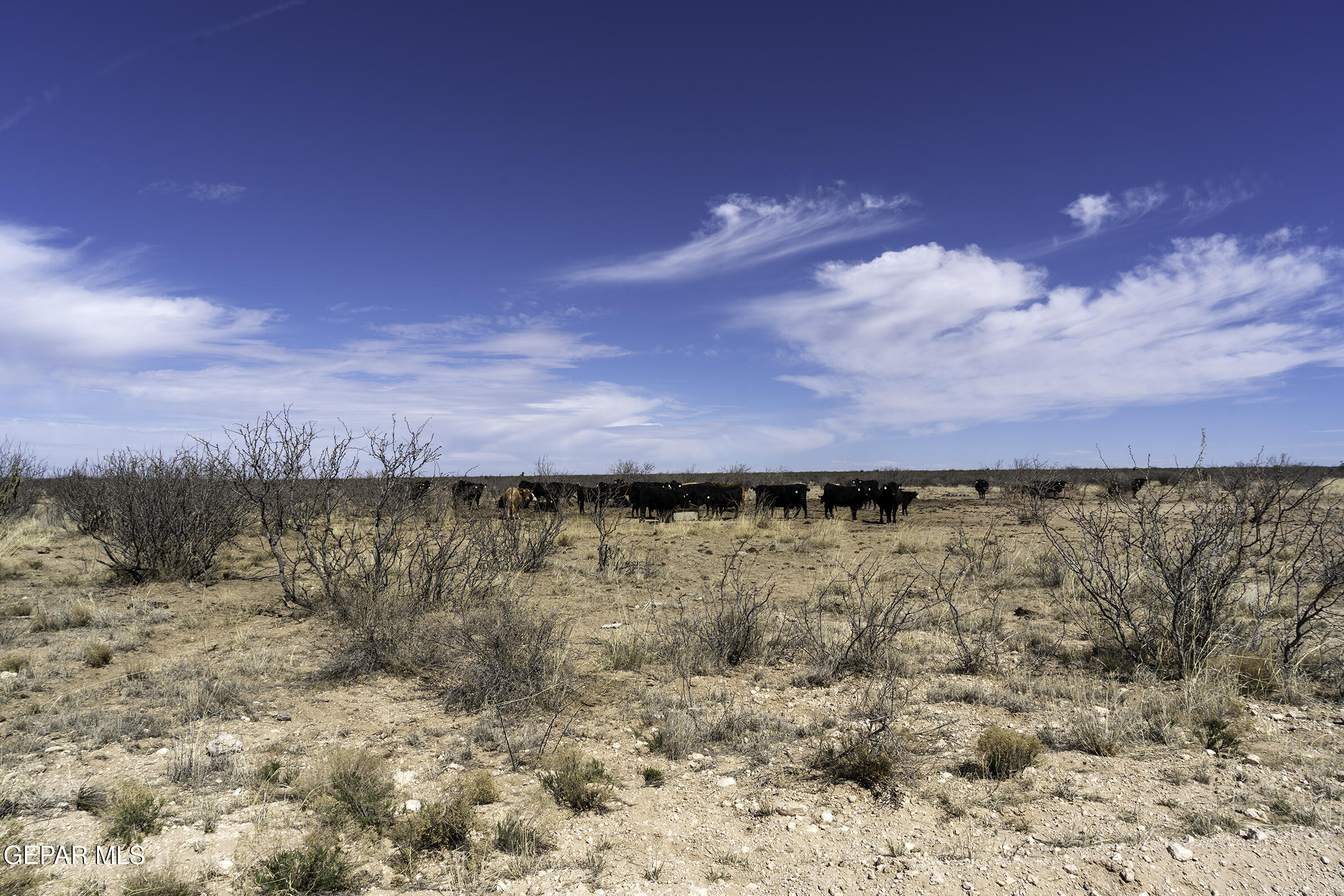 70596 Victoria Road Sierra Blanca, TX 79851 - Photo 6 of 6 a view of lake with mountain