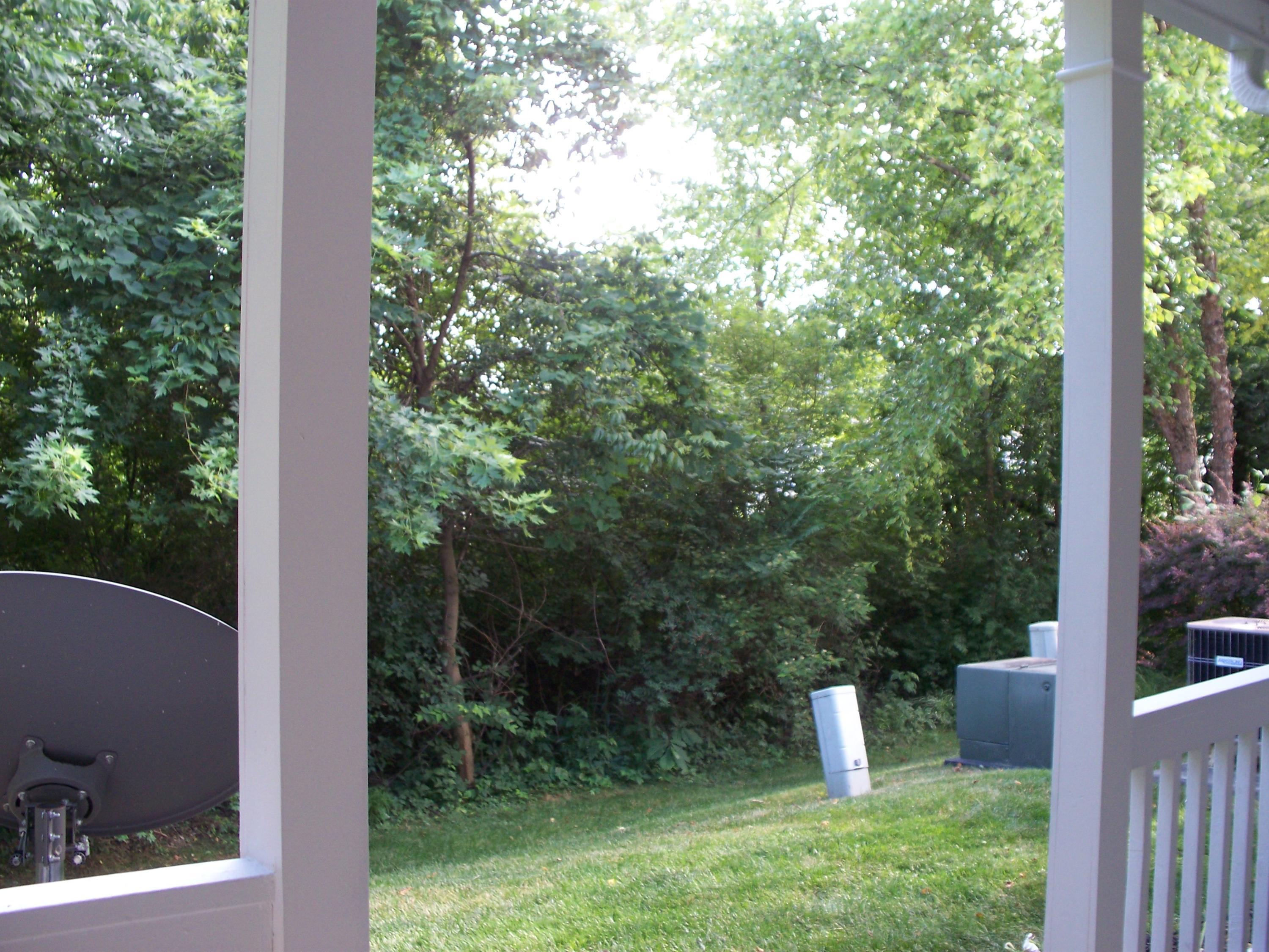 335 Sycamore Ridge Way Gahanna, OH 43230 - Photo 40 of 47