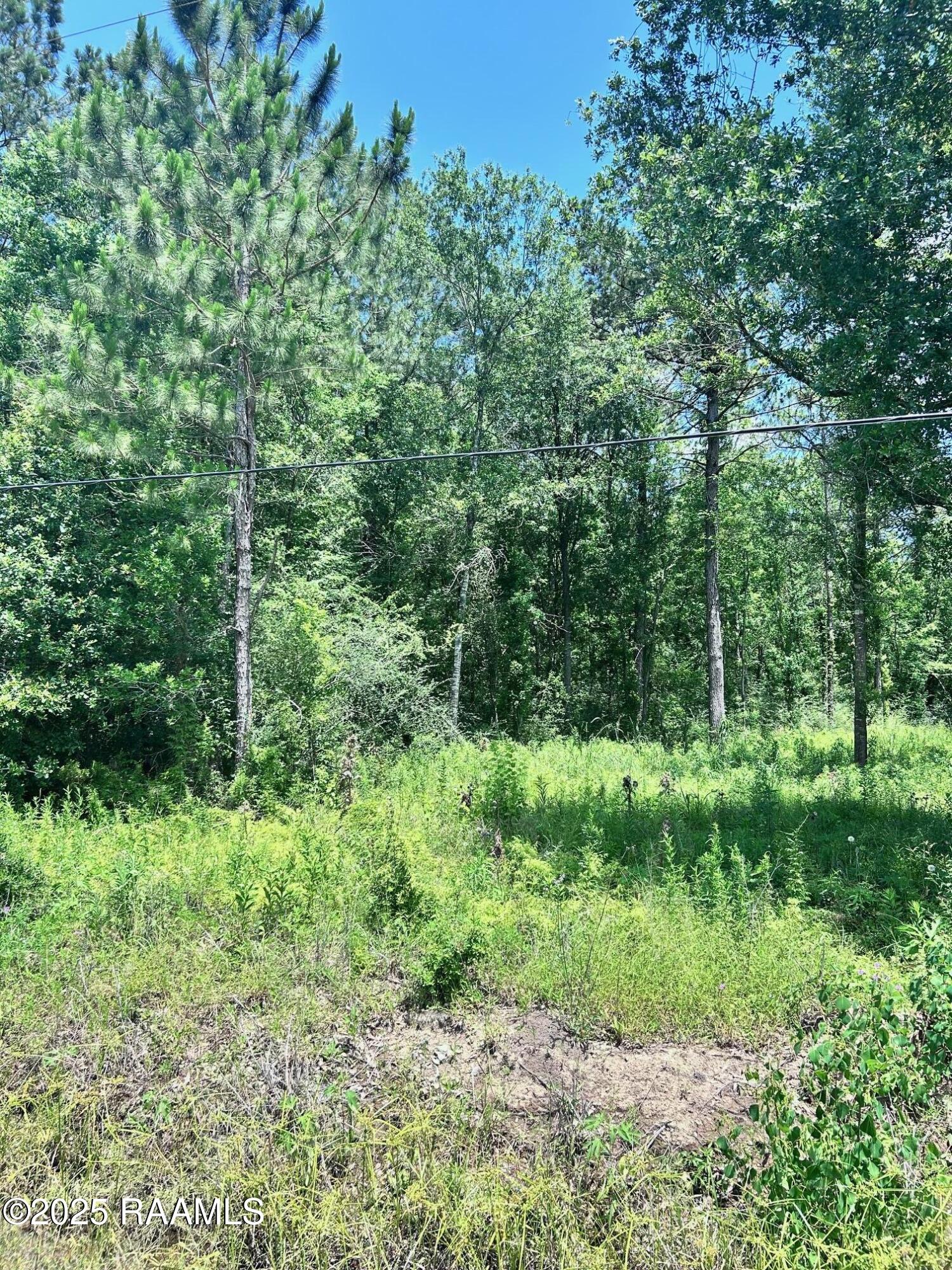 0 Albert Venable Road Church Point, LA 70525 - Photo 1 of 13 LOT 3