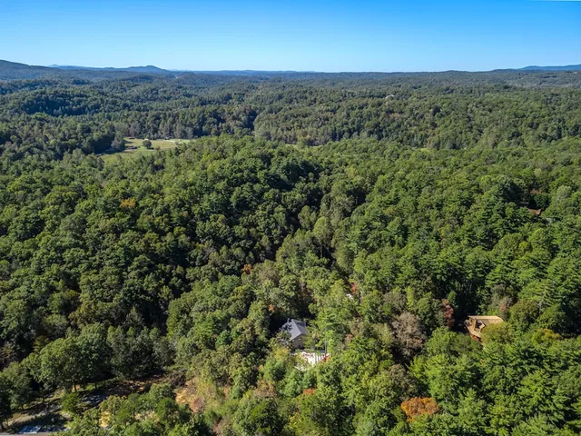a view of a lush green hillside and a houses