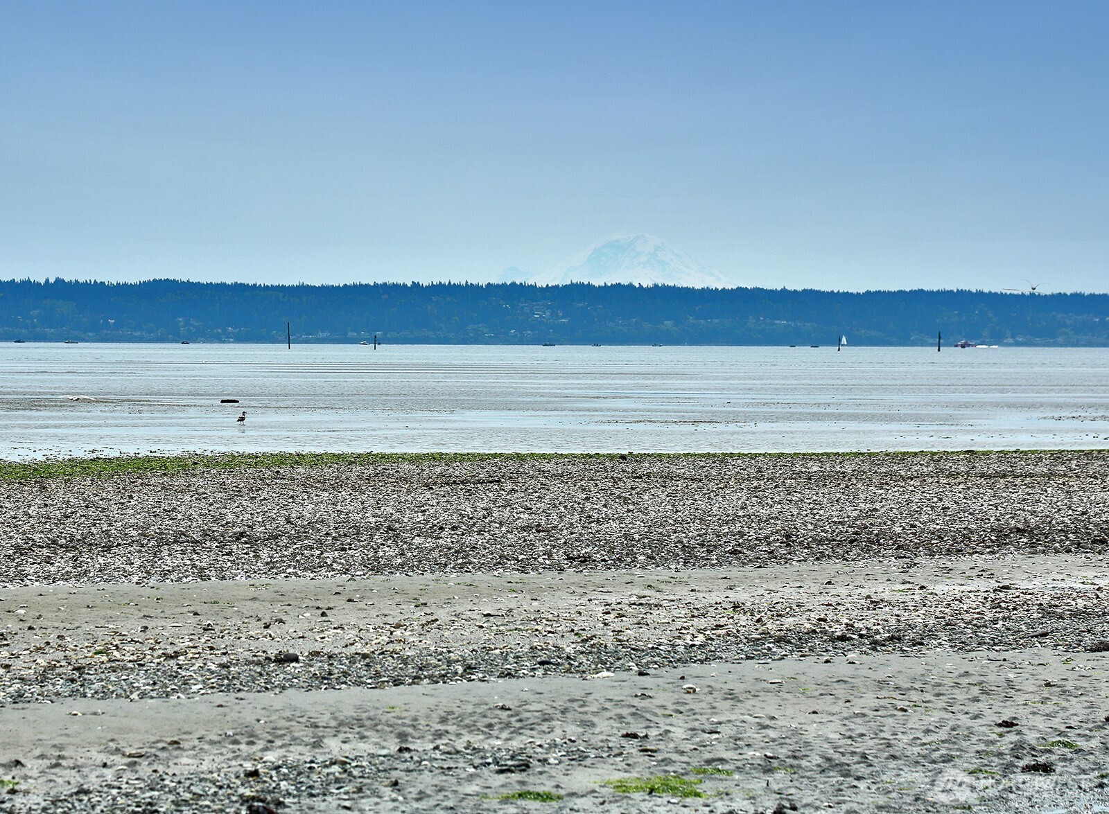 8065 South George Drive Clinton, WA 98236 - Photo 30 of 40
