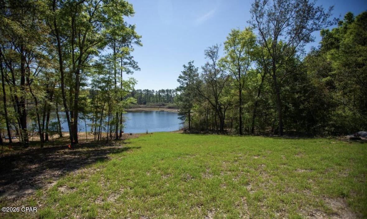 3779 Payne Lake Road Chipley, FL 32428 - Photo 7 of 11