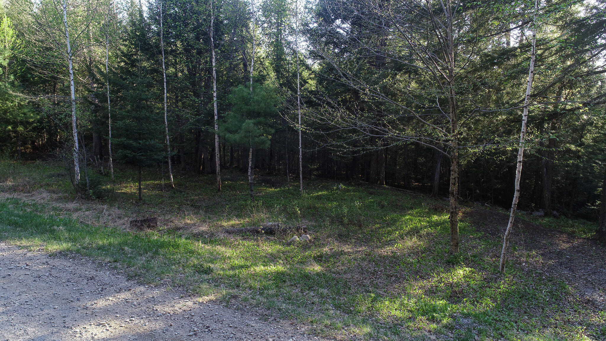 Lote-6 Webb Cove Road Lowell, ME 04493 - Photo 5 of 14 DJI_0051