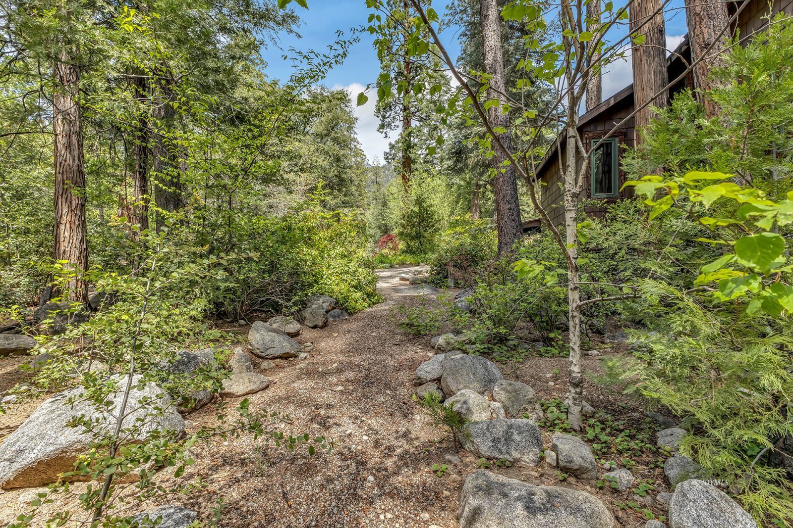 25100 Indian Rock Road Idyllwild, CA 92549 - Photo 63 of 75 a view of a yard with plants and trees