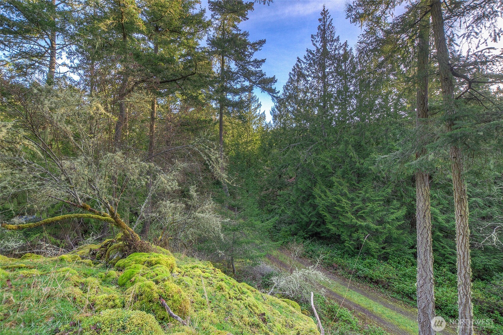 1536 Neck Point Road Shaw Island, WA 98286 - Photo 24 of 33 Gallery Image 24