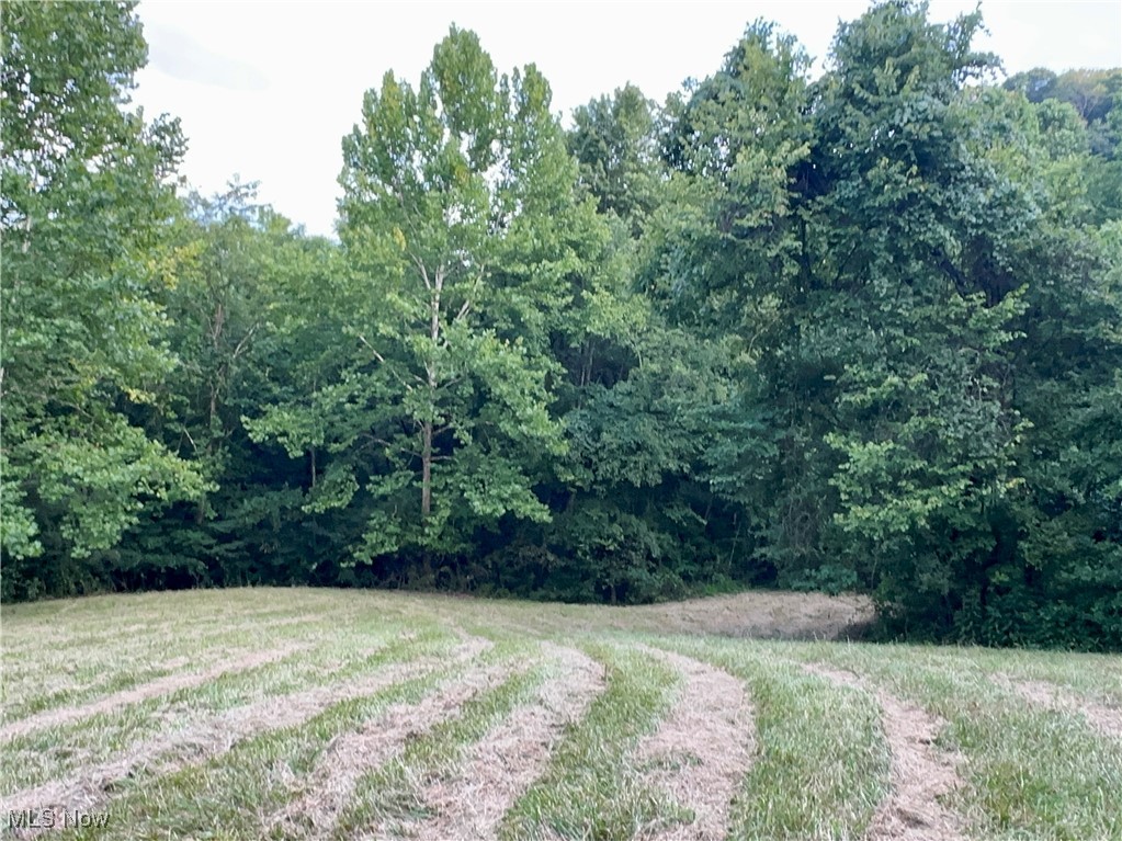 200 Frakes Road Lower Salem, OH 45745 - Photo 24 of 50 View of yard