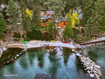 a view of a yard with plants and large trees