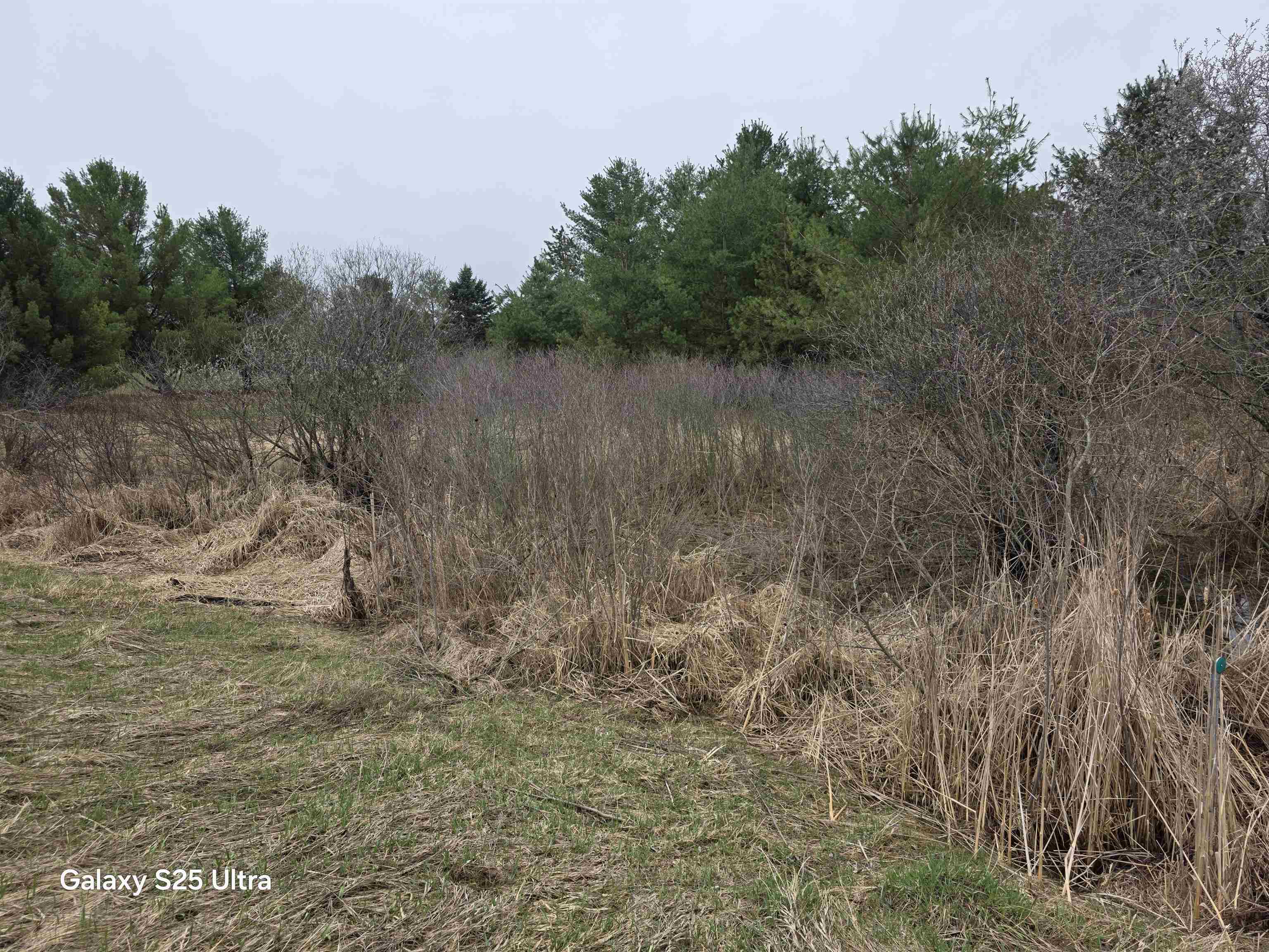 Lot 551 Hockaday Road, Unit HOCKADAY & DORMIE DR Gladwin, MI 48624 - Photo 1 of 11