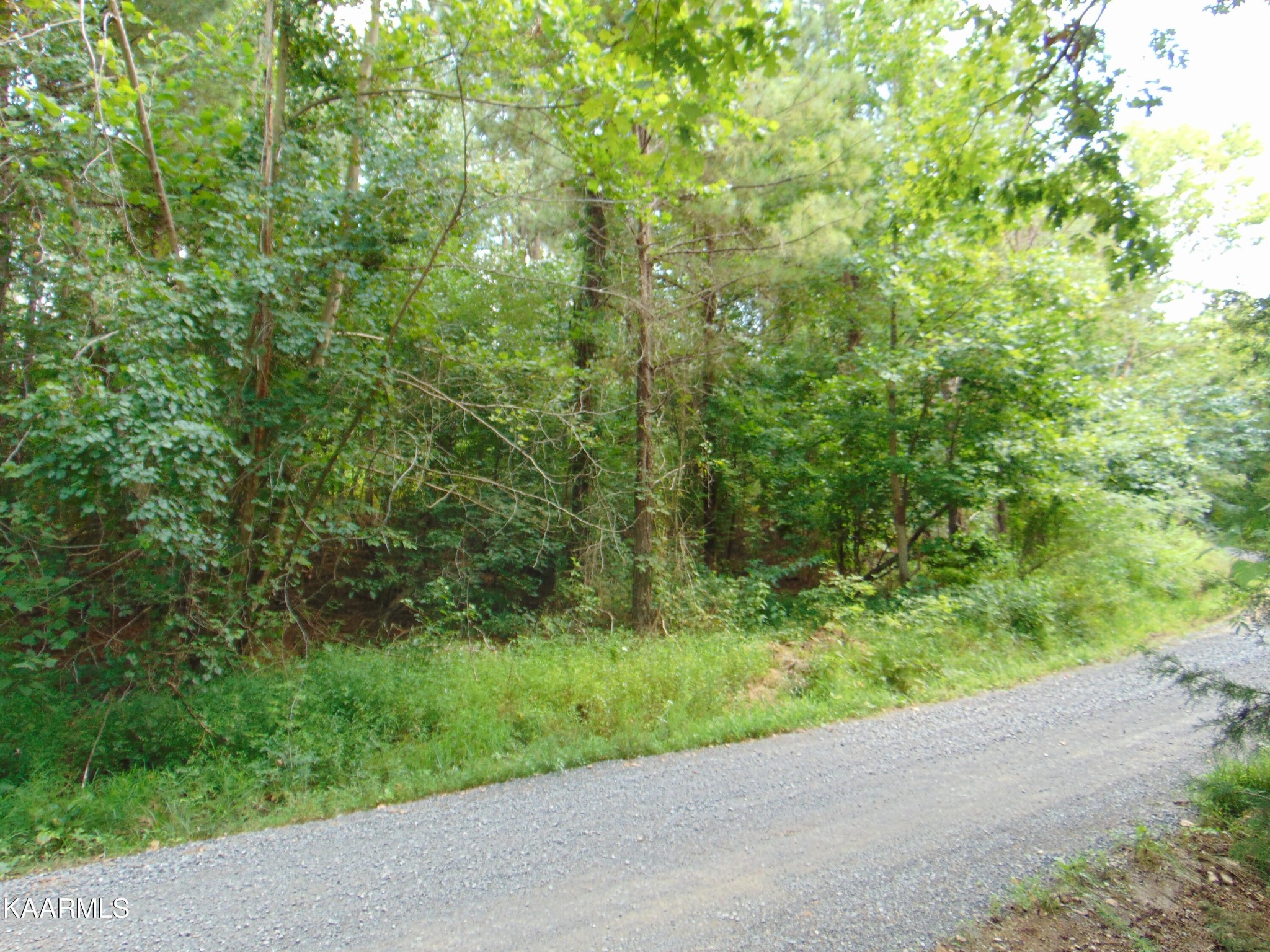 2 Chathem Road Decatur, TN 37322 - Photo 10 of 12