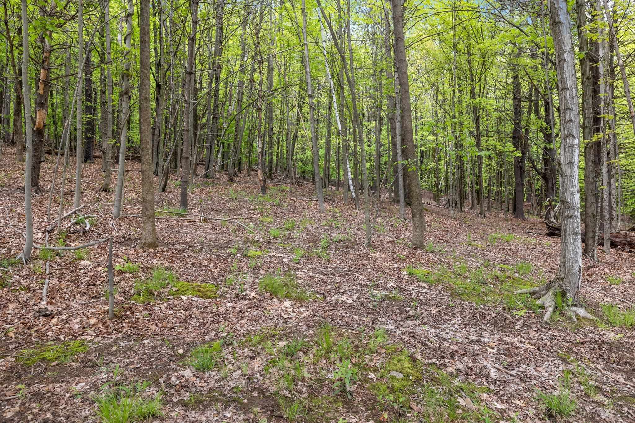 83 Governors Road Pittsfield, NH 03263 - Photo 39 of 40