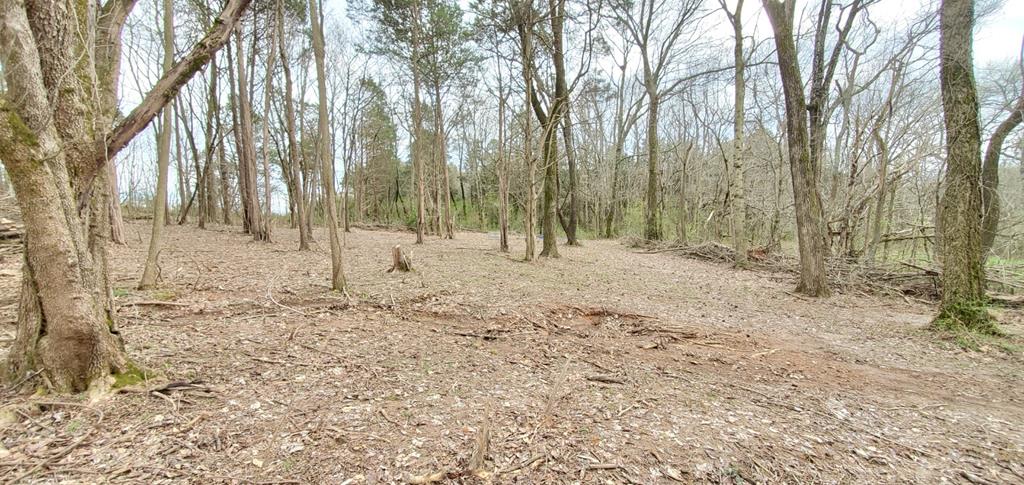 221 Griderville Road Cave City, KY 42127 - Photo 15 of 73 Gallery Image 15