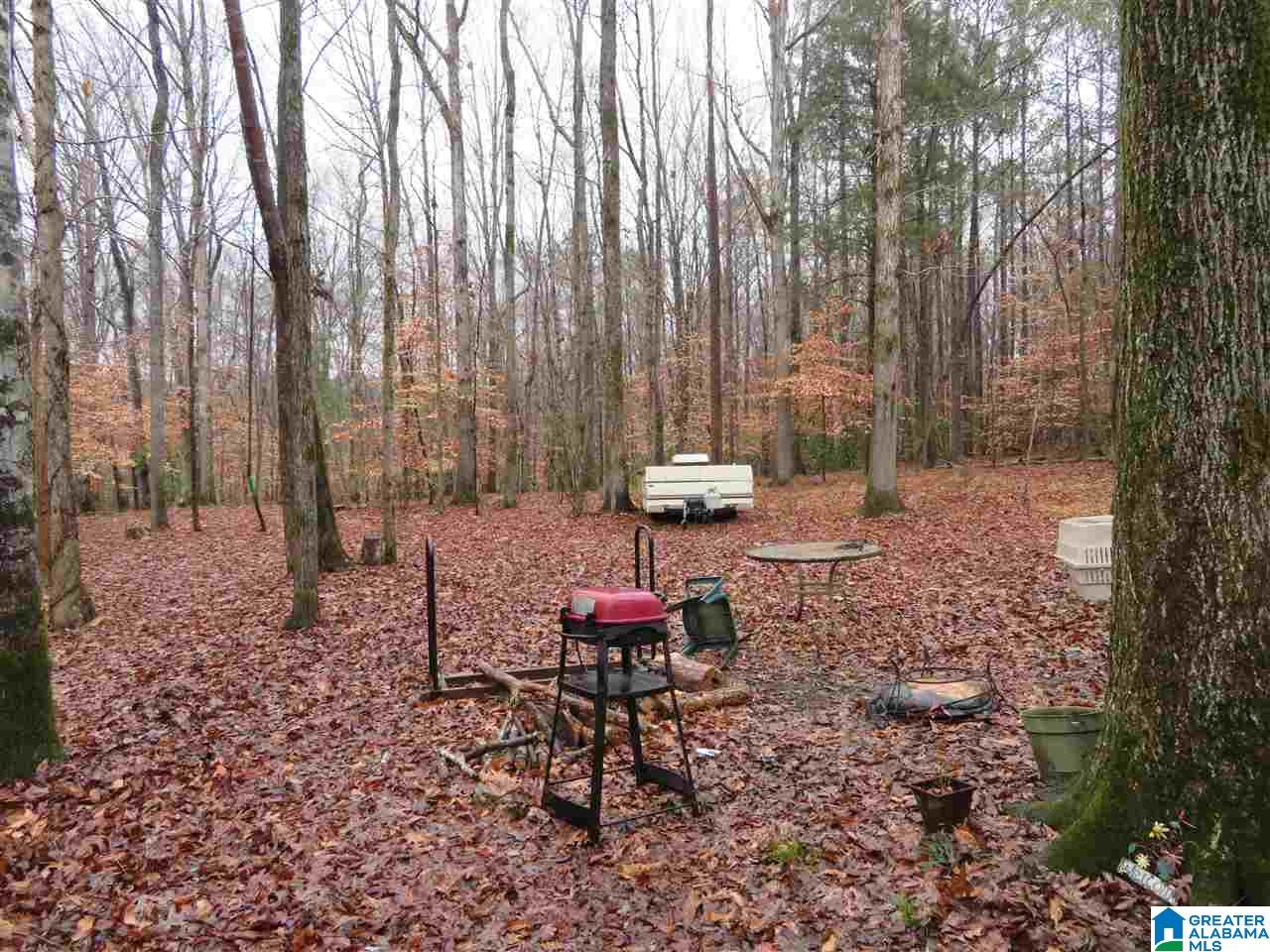 138 Cedar Grove Road West Blocton, AL 35184 - Photo 14 of 44