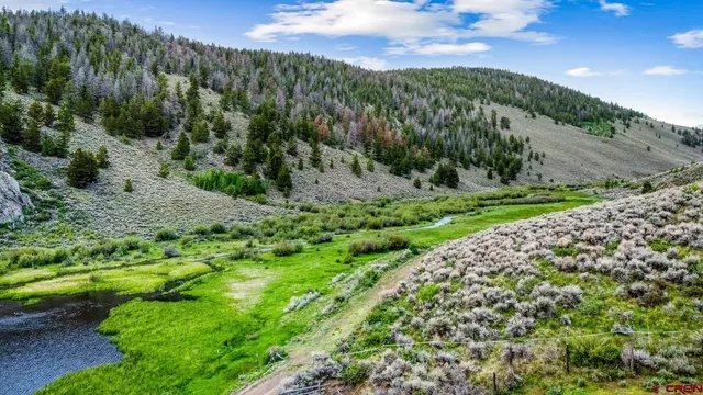 a view of a pathway with a park