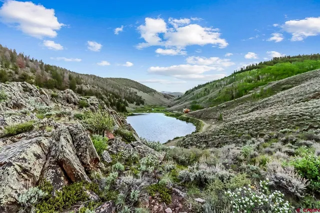a view of a big yard with lots of green space