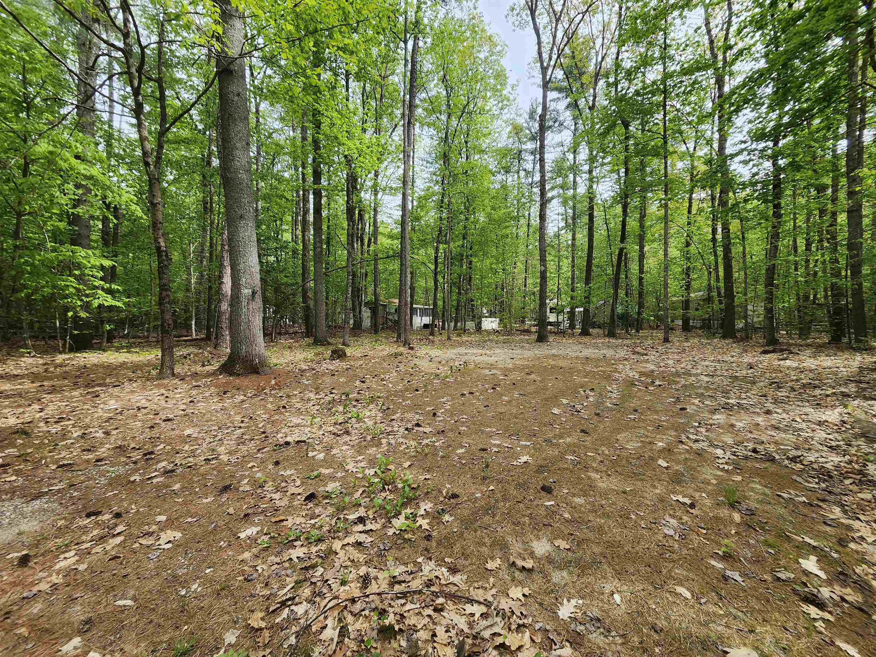 Lot 7 Pine Road East Wakefield, NH 03830 - Photo 4 of 11