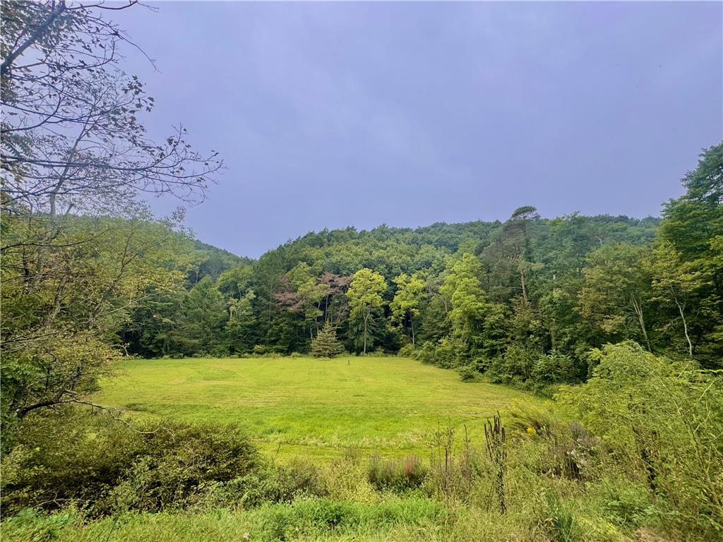 337 Fiddletown Road Kunkletown, PA 18058 - Photo 10 of 10 Mature trees ring a level grassy backyard under expansive open skies.