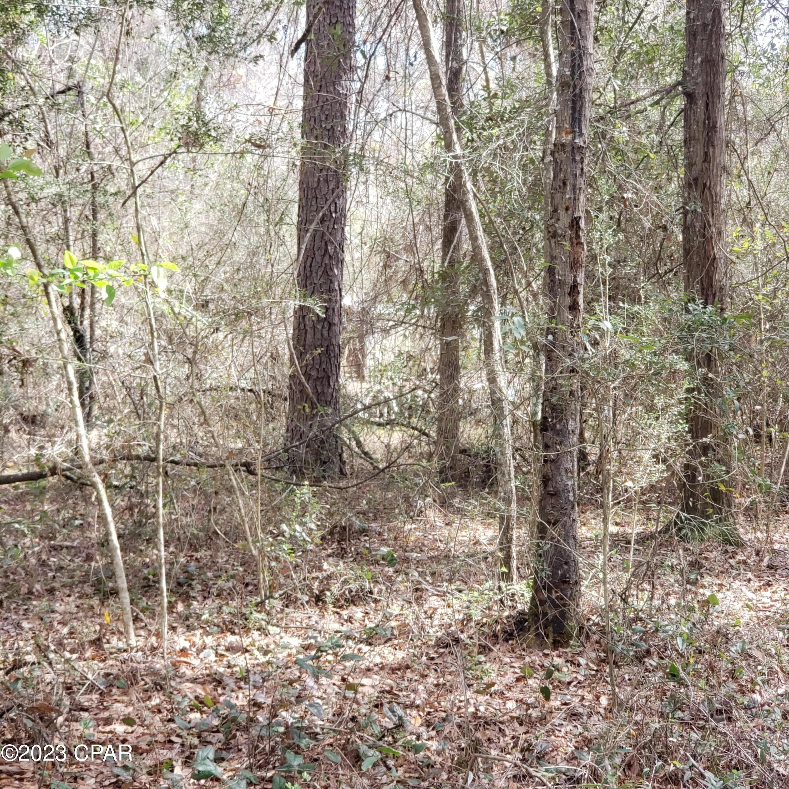 0 Beaver Dam Road Bonifay, FL 32425 - Photo 3 of 7 Gallery Image 3