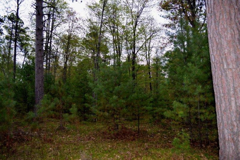 On Wakefield Lake Road, Unit LOT 2 St. Germain, WI 54558 - Photo 14 of 15 Gallery Image 14