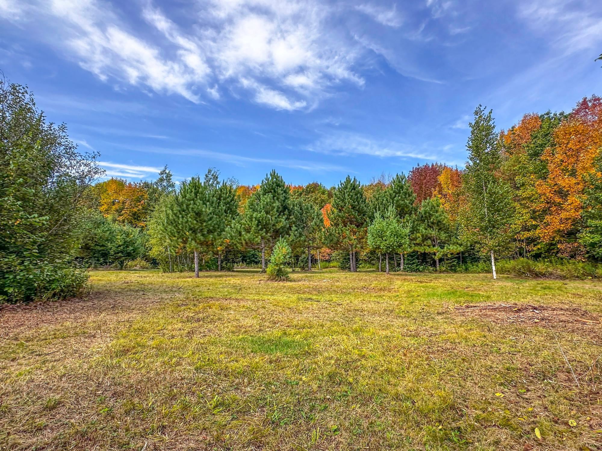 72281 Hennes Road Glidden, WI 54527 - Photo 36 of 50