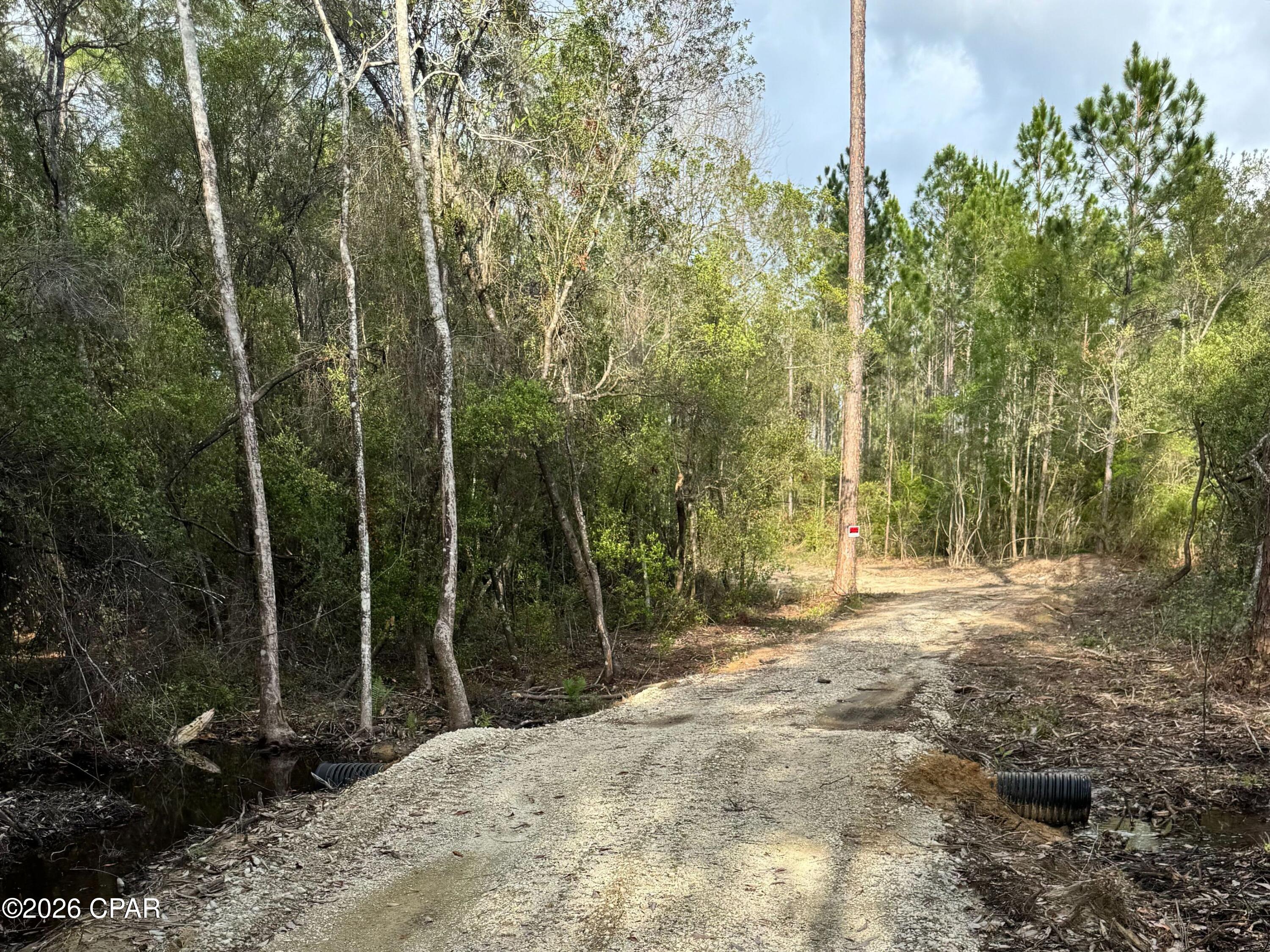 Lot 9 Pleasant Hill Road Bonifay, FL 32425 - Photo 10 of 10