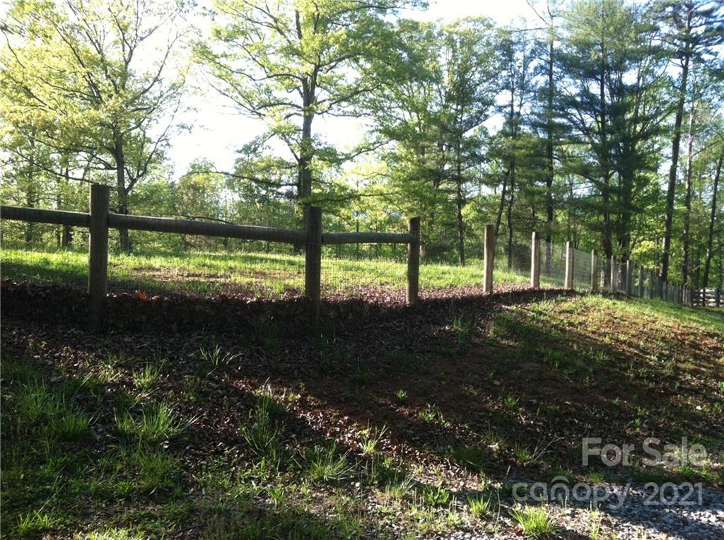 2475 Hunting Country Road Tryon, NC 28782 - Photo 3 of 6 a view of lake with tree