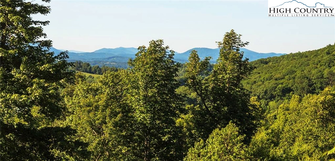 Lot 13 Wapiti Ridge Boone, NC 28607 - Photo 3 of 10 Gallery Image 3