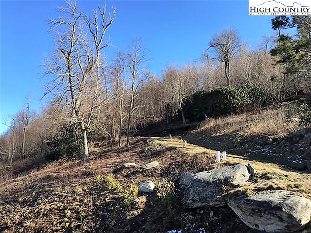 Lot 13 Wapiti Ridge Boone, NC 28607 - Photo 4 of 10 Gallery Image 4