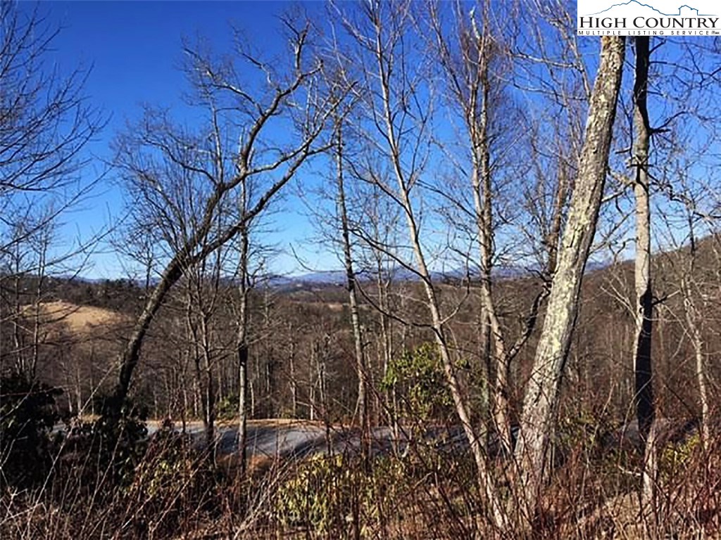 Lot 13 Wapiti Ridge Boone, NC 28607 - Photo 6 of 10 Gallery Image 6