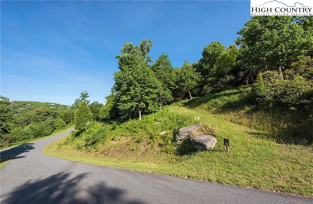 Lot 13 Wapiti Ridge Boone, NC 28607 - Photo 8 of 10 Gallery Image 8