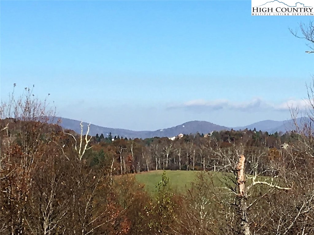 Lot 13 Wapiti Ridge Boone, NC 28607 - Photo 10 of 10 Gallery Image 10