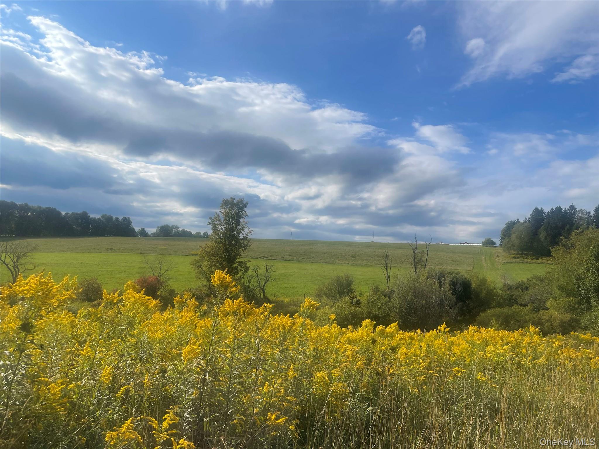 2614 Turnpike Road Delhi, NY 13753 - Photo 49 of 49 Gallery Image 49