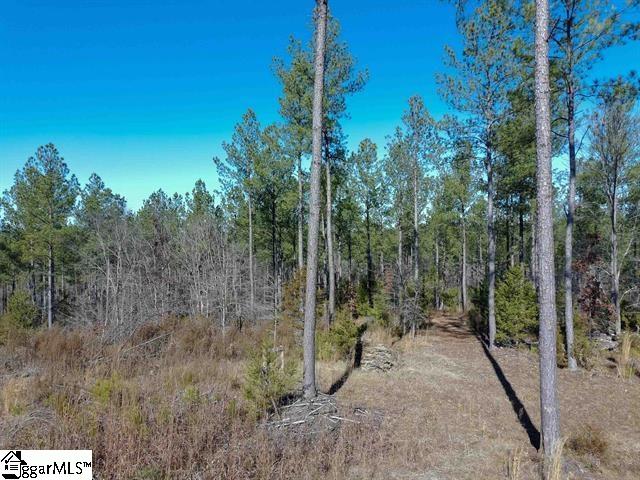 0 Fields Road Pauline, SC 29374 - Photo 5 of 7