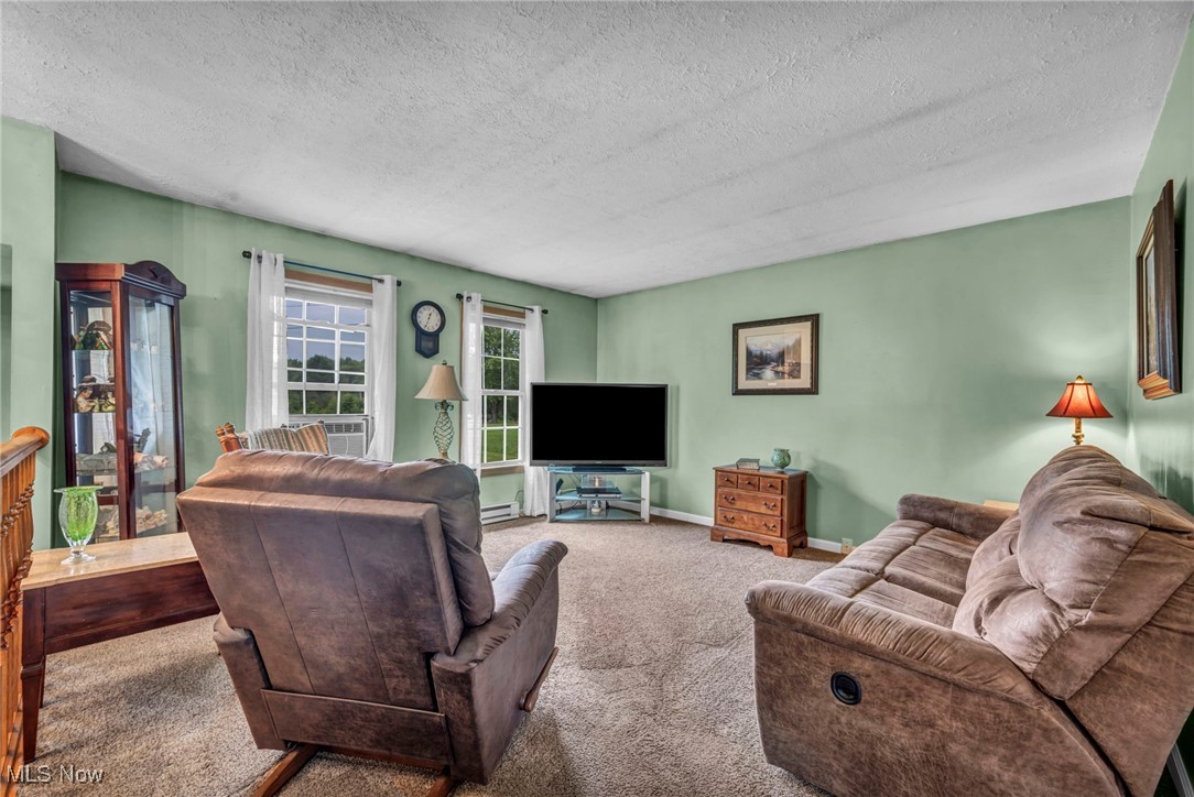 Living area with a textured ceiling and carpet