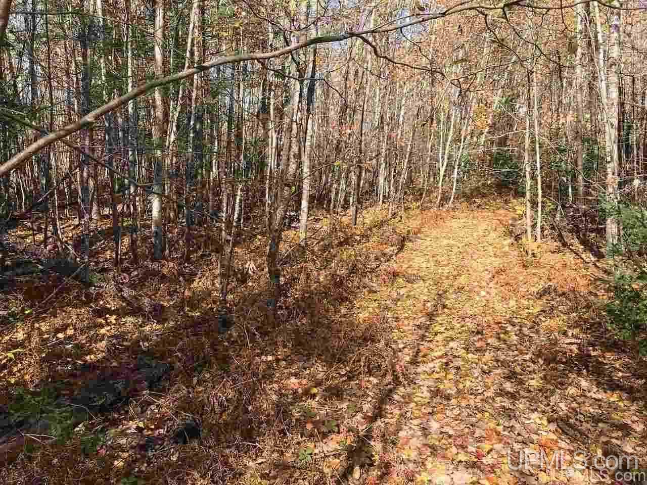 Tbd Co Rd 426 Cornell, MI 49818 - Photo 11 of 20