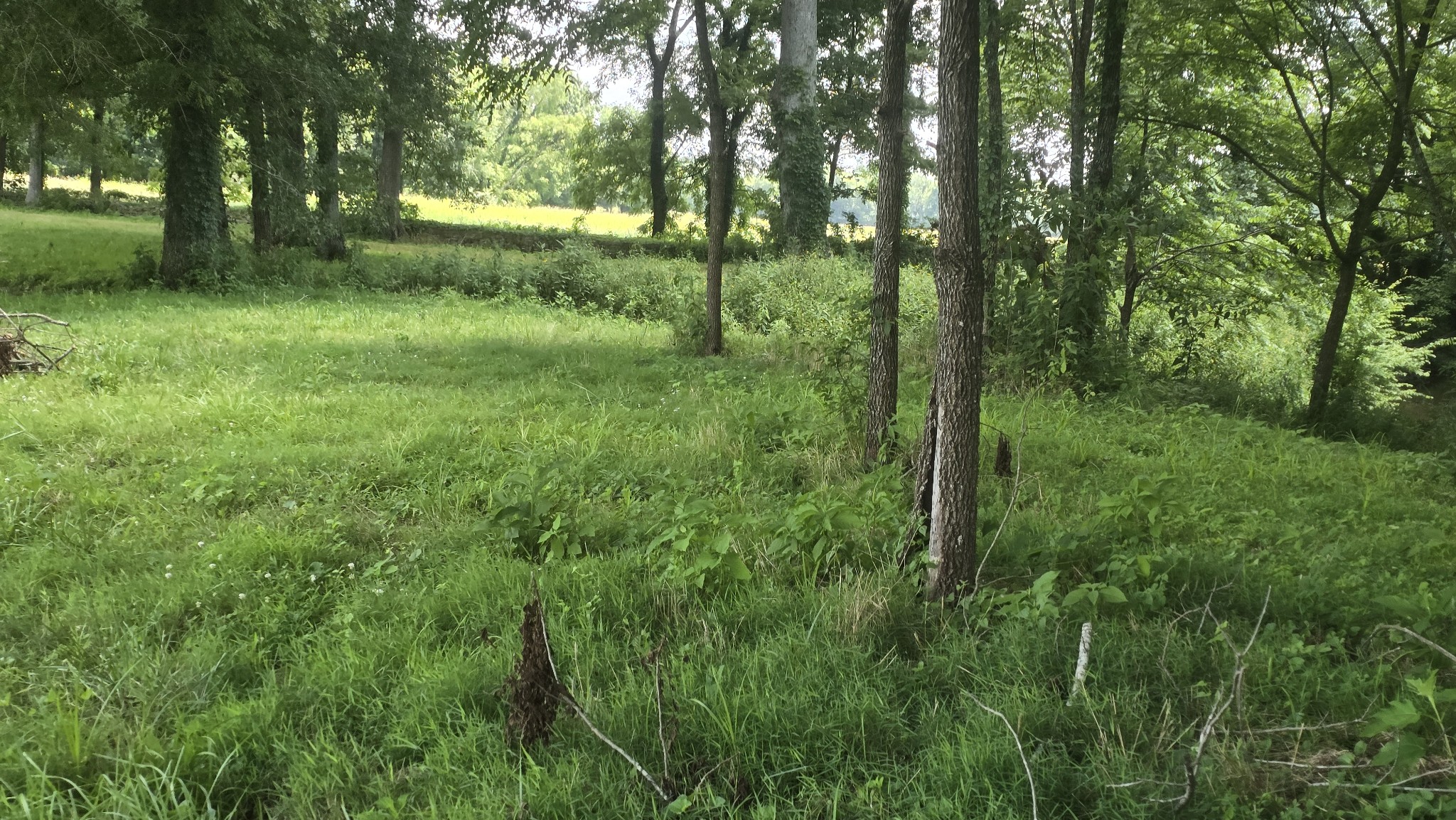 34 Short Road Petersburg, TN 37144 - Photo 24 of 24 Gallery Image 24