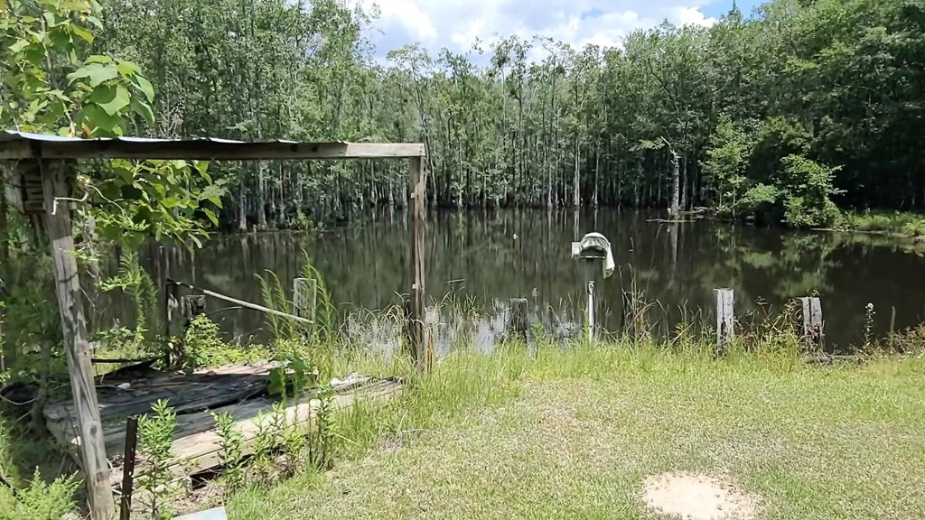 297 New Hope Road Slocomb, AL 36375 - Photo 26 of 26