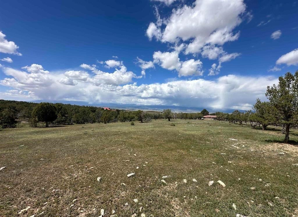37838 Polson Road Crawford, CO 81415 - Photo 25 of 42 Gallery Image 25
