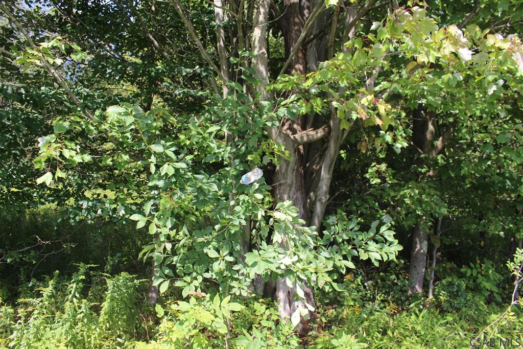 Lot # Wess Road, Unit 5 Mineral Point, PA 15942 - Photo 9 of 13