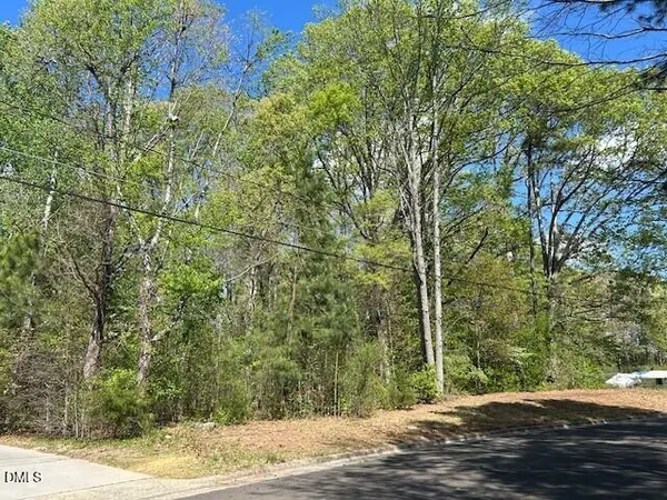 a view of a yard