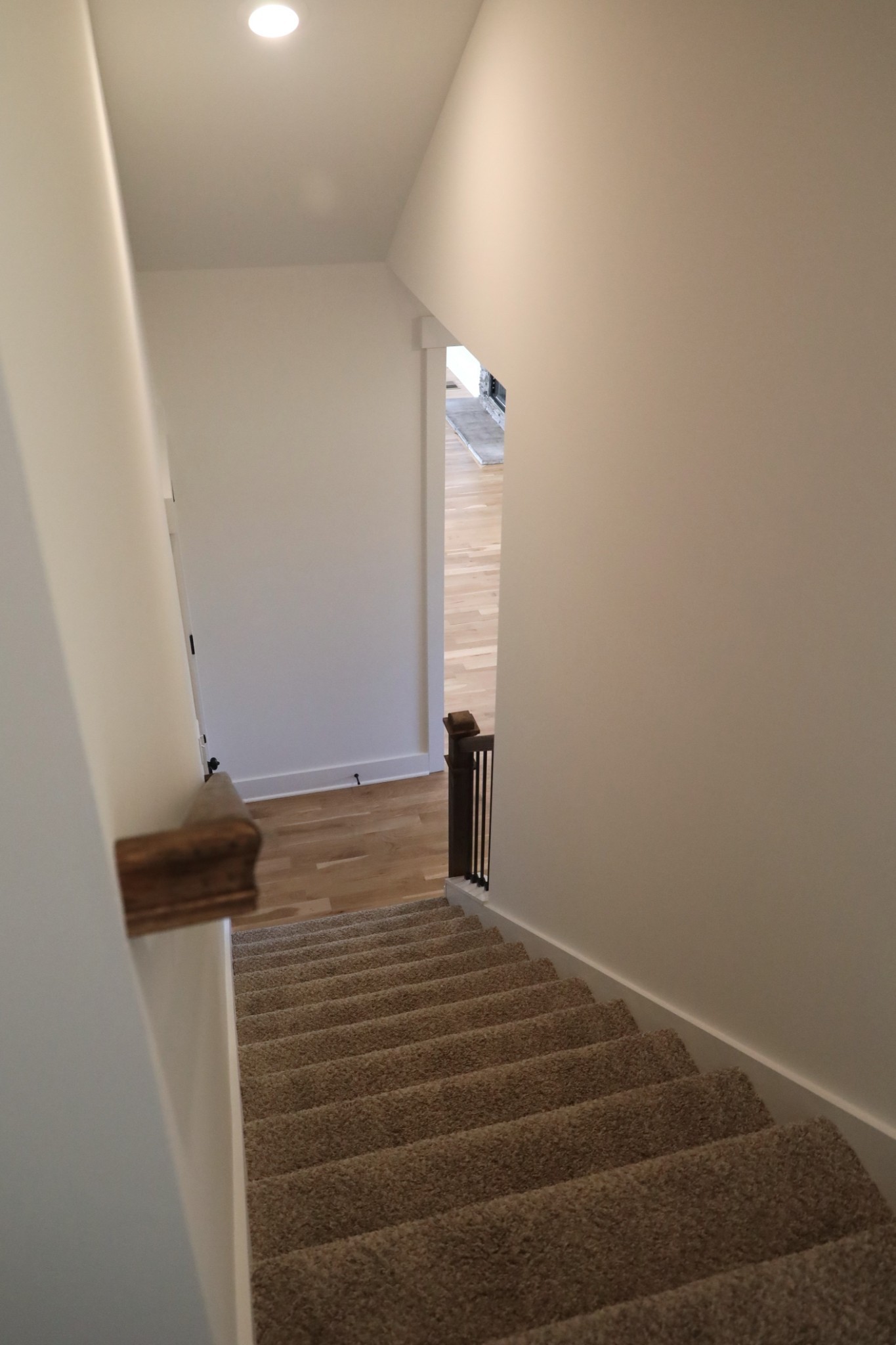 5558 Borthick Road Springfield, TN 37172 - Photo 31 of 53 a view of walk in closet