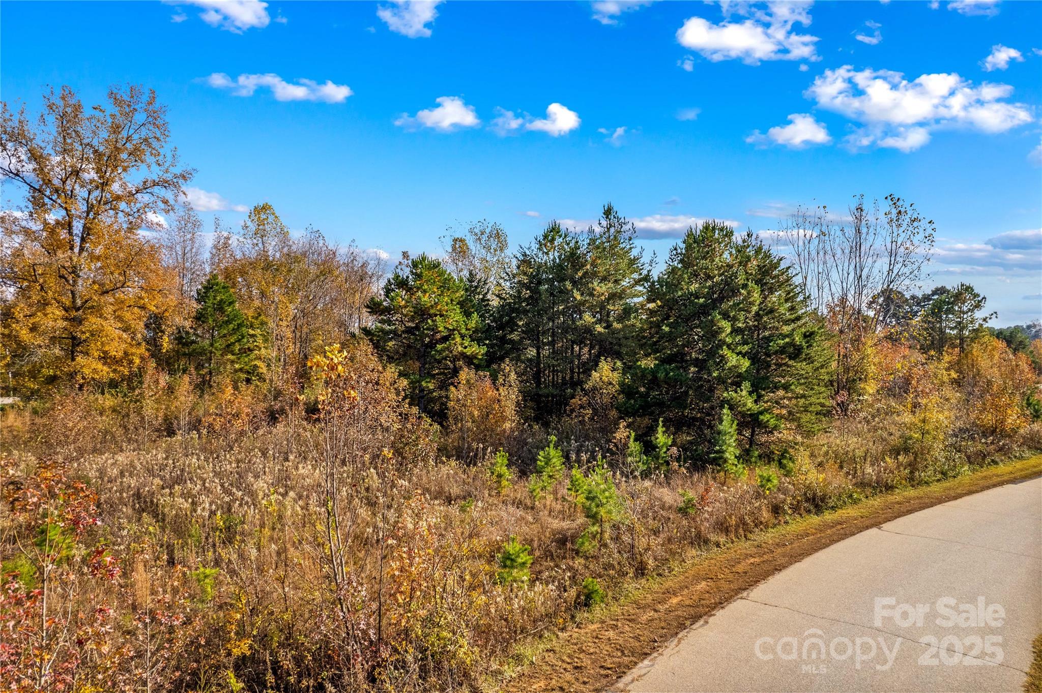 1975 Marina Pointe Road Salisbury, NC 28146 - Photo 7 of 14