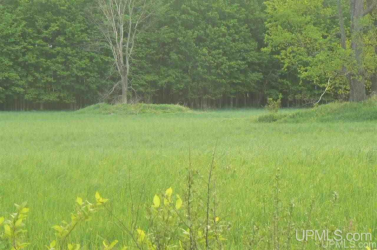 Tbd Benson 53 Acres Road Chatham, MI 49816 - Photo 7 of 10